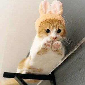 Meet your Posher, Kayleigh